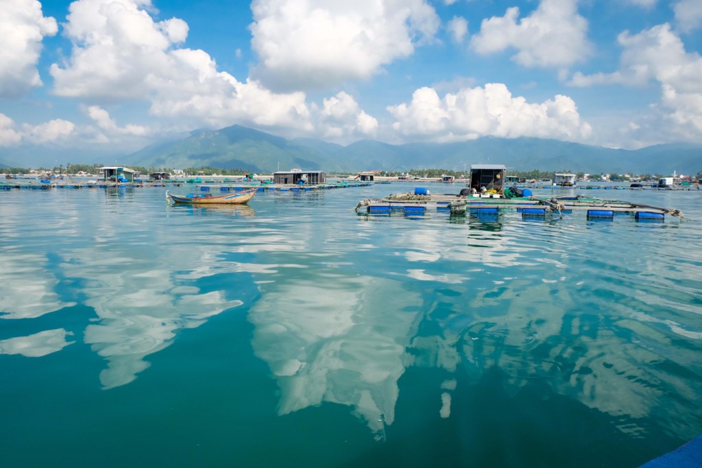 Ninh[-]Thuận:[-]Quy[-]hoạch[-]vùng[-]nuôi[-]thủy[-]sản[-]hợp[-]lý,[-]bảo[-]vệ[-]môi[-]trường[-]biển